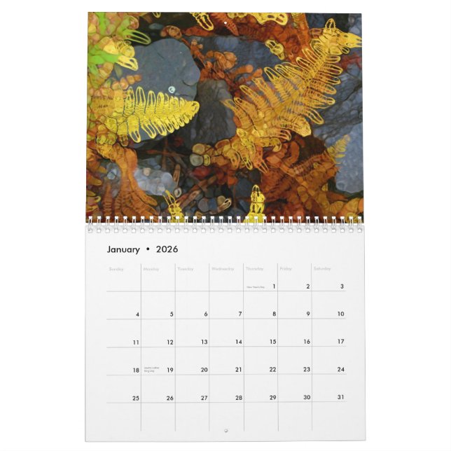 Natur - Paintography Art-Kalender Kalender (Jan 2026)