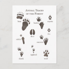 Natur Postcard Tierkäfige im Wald Postkarte