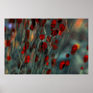 Natur Poster
