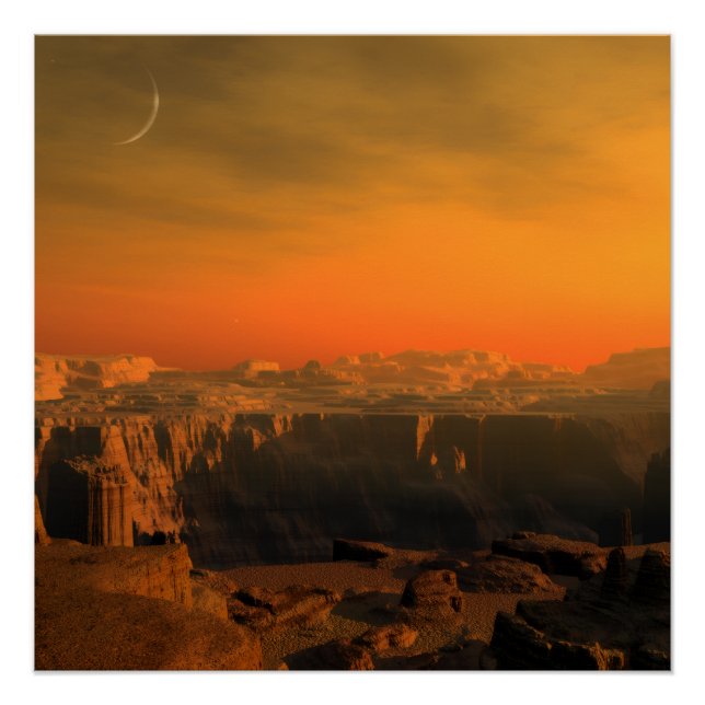 NATUR POSTER (Vorderseite)