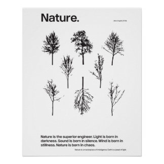 Natur Poster