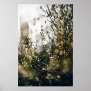 NATUR POSTER