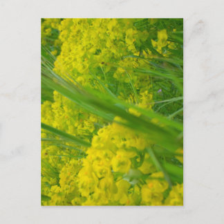 Natur Postkarte