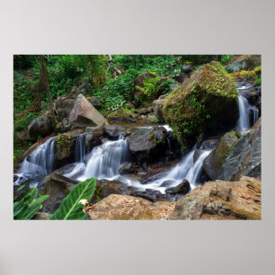 Natur pur poster