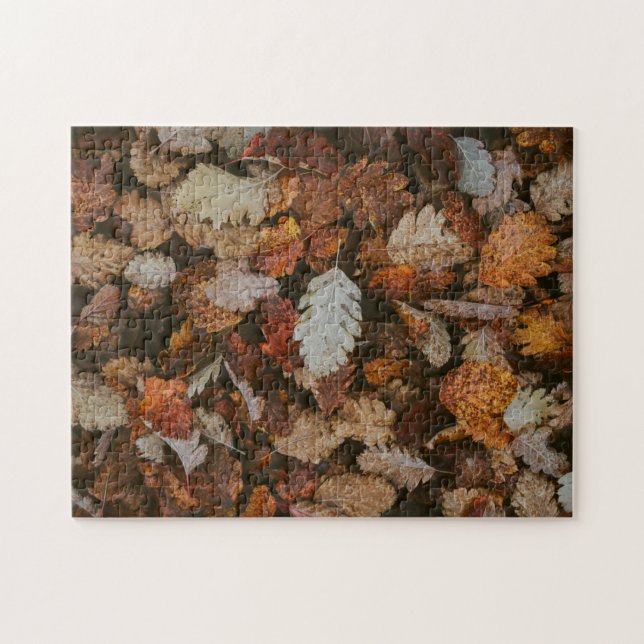 Natur-Puzzle Herbst-Puzzle Extremes Puzzle (Horizontal)