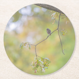 Natur Runder Pappuntersetzer