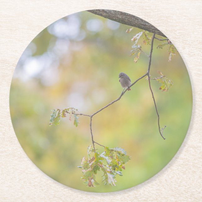 Natur Runder Pappuntersetzer (Vorderseite)