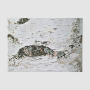 Natur-Seidenpapier-Birken-Holz Seidenpapier