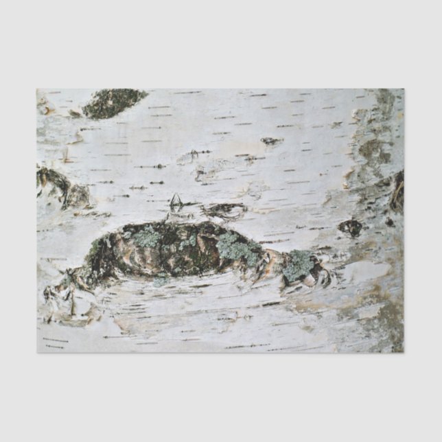 Natur-Seidenpapier-Birken-Holz Seidenpapier (Vorderseite)