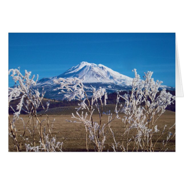 Natur spricht Bucheinband-Bild (Vorderseite (Horizontal))