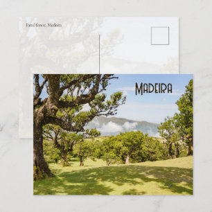 Natur und Landschaft des Fanal-Waldes, Madeira Postkarte