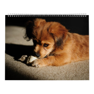 Natur und Tiere Kalender