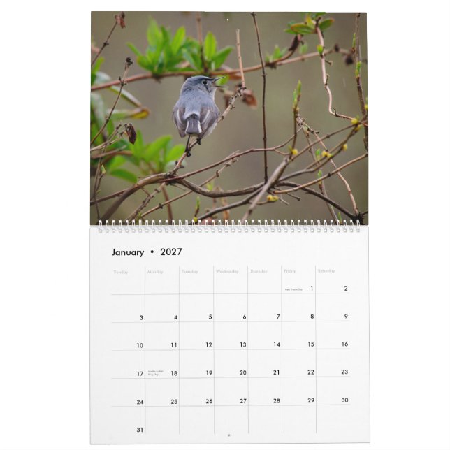 Natur und Tiere Kalender (Jan 2027)