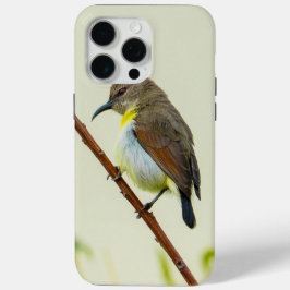 Natur Vogel Handyhülle Case-Mate iPhone Hülle