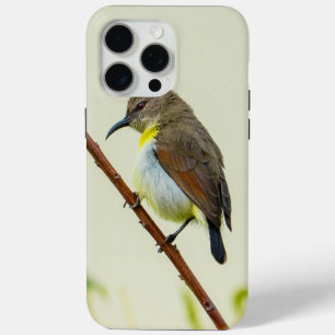 Natur Vogel Handyhülle Case-Mate iPhone Hülle