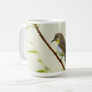 Natur Vogel Tasse