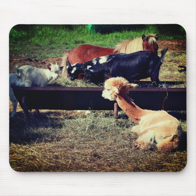 Natur von Landtieren Mousepad (Vorne)