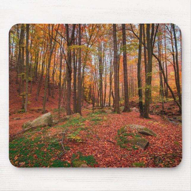 Natur, Wald, Bäume Mousepad (Vorne)