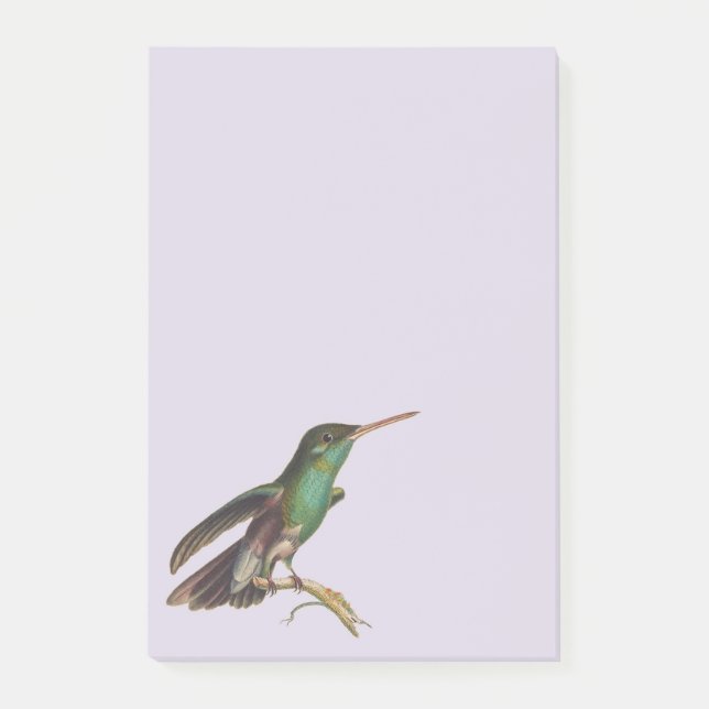 Natur Wildvögel Hummingbird Post-it Klebezettel (Vorderseite)