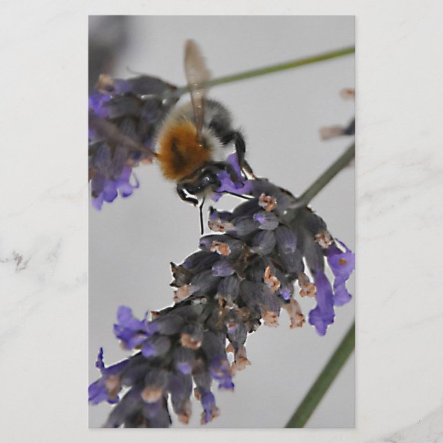 Natur Wunderbare Arbeiter Briefpapier (Vorderseite)