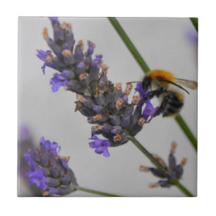 Natur Wunderbare Arbeiter Fliese