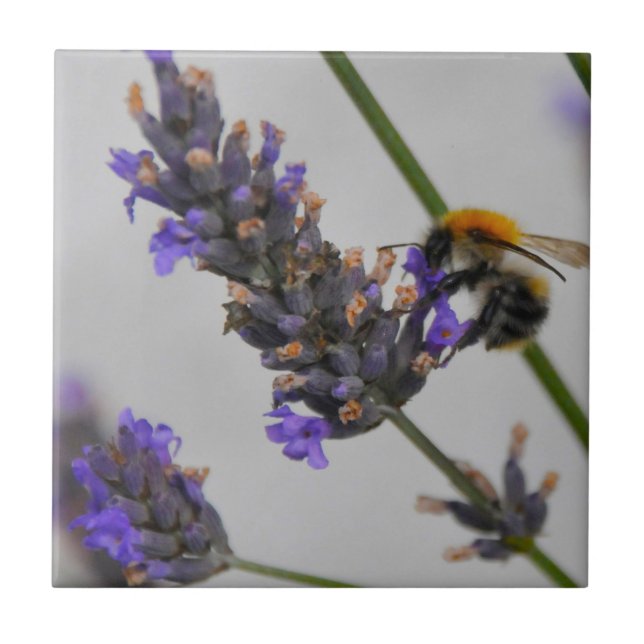 Natur Wunderbare Arbeiter Fliese (Vorderseite)