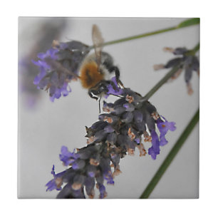 Natur Wunderbare Arbeiter Fliese