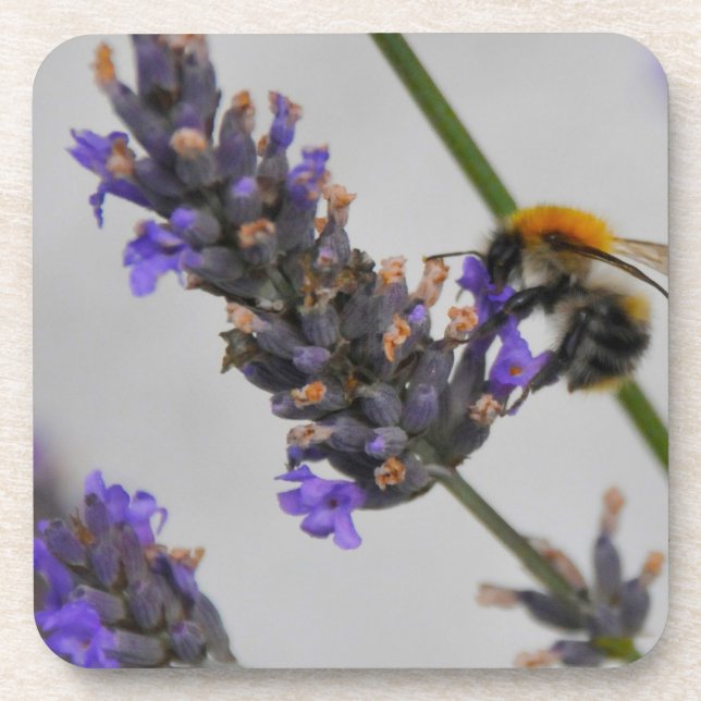 Natur Wunderbare Arbeiter Getränkeuntersetzer (Vorderseite)