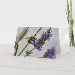 Natur Wunderbare Arbeiter Karte