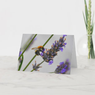 Natur Wunderbare Arbeiter Karte