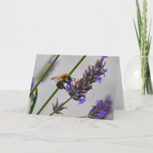 Natur Wunderbare Arbeiter Karte (Vorderseite)