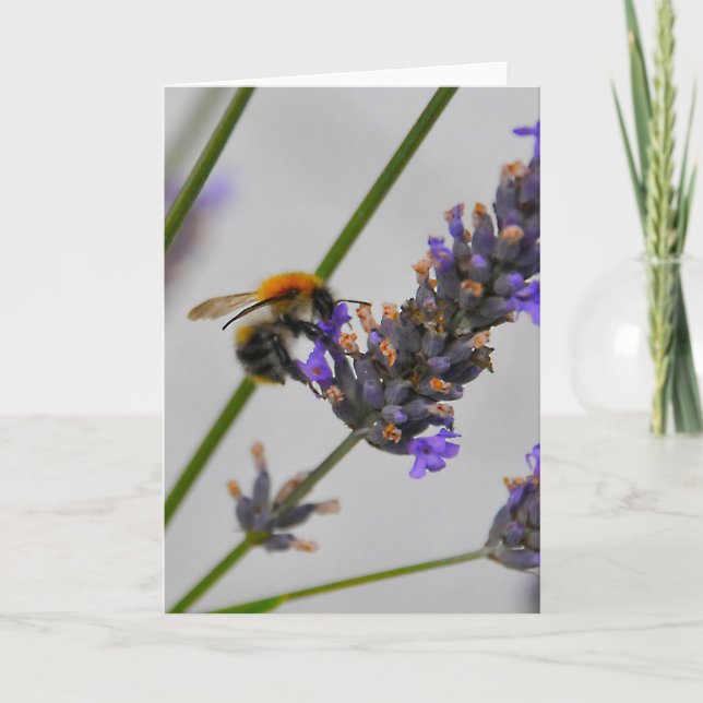 Natur Wunderbare Arbeiter Karte (Vorderseite)