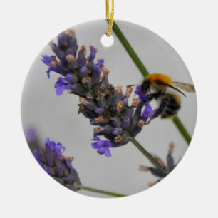 Natur Wunderbare Arbeiter Keramikornament