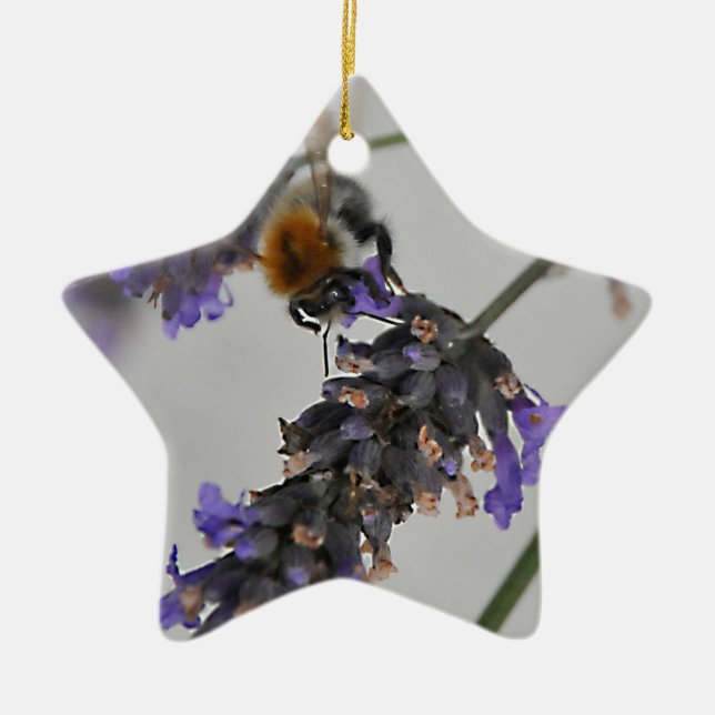 Natur Wunderbare Arbeiter Keramikornament (Vorne)