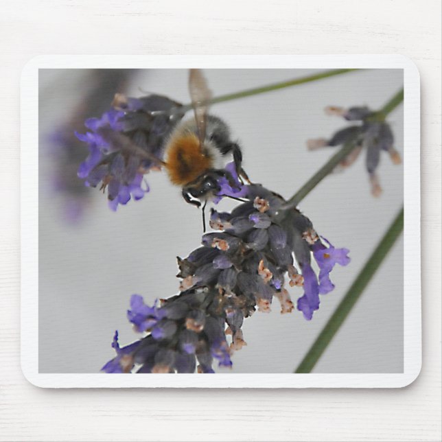 Natur Wunderbare Arbeiter Mousepad (Vorne)
