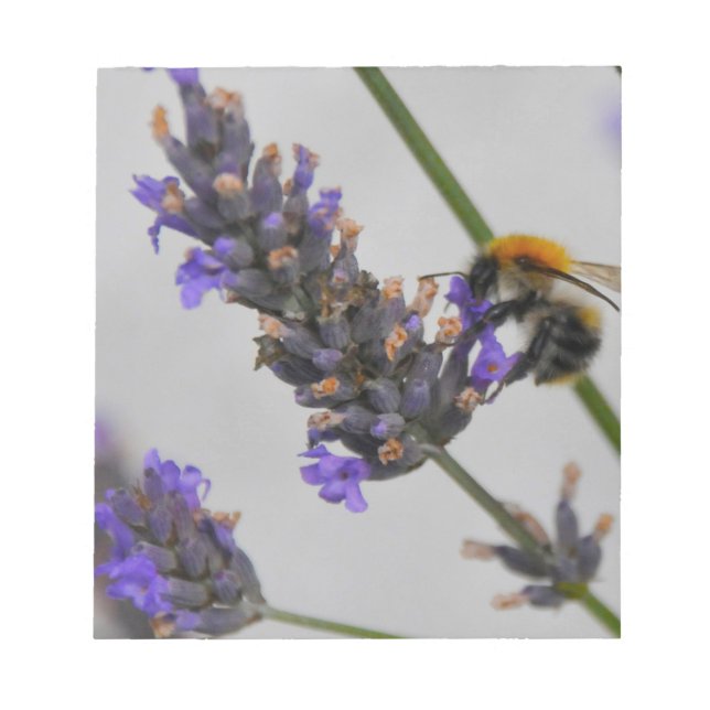 Natur Wunderbare Arbeiter Notizblock (Vorderseite)