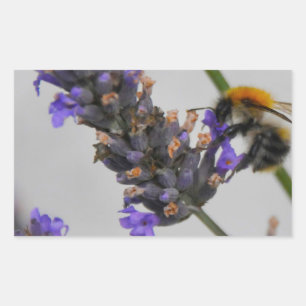 Natur Wunderbare Arbeiter Rechteckiger Aufkleber