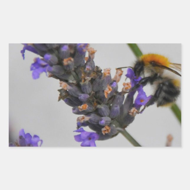 Natur Wunderbare Arbeiter Rechteckiger Aufkleber (Vorderseite)