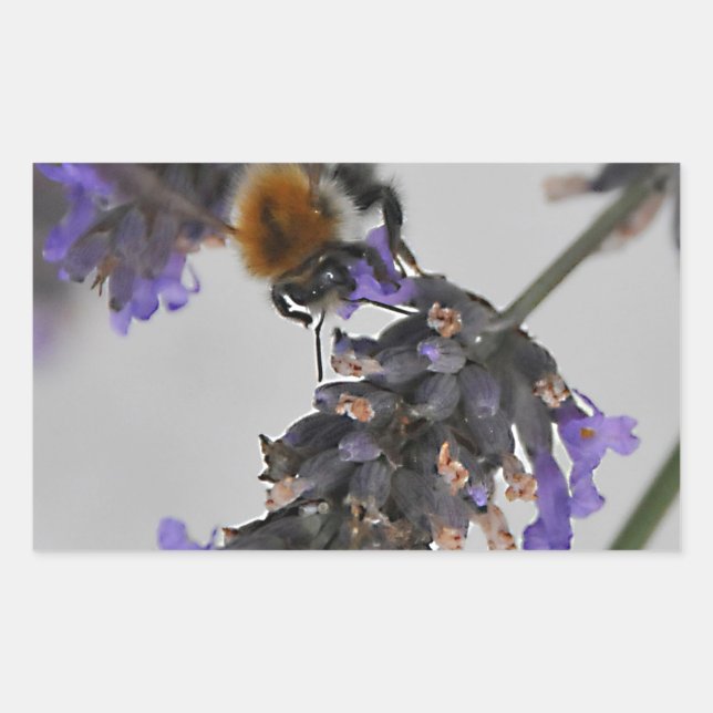 Natur Wunderbare Arbeiter Rechteckiger Aufkleber (Vorderseite)