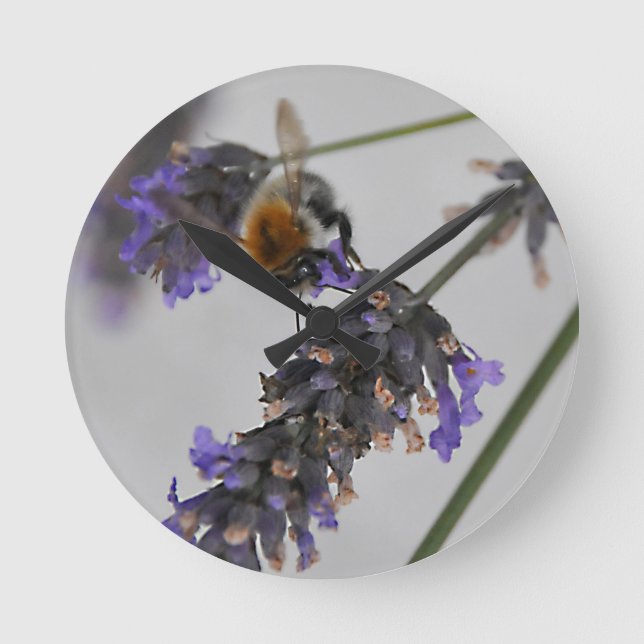 Natur Wunderbare Arbeiter Runde Wanduhr (Vorderseite)