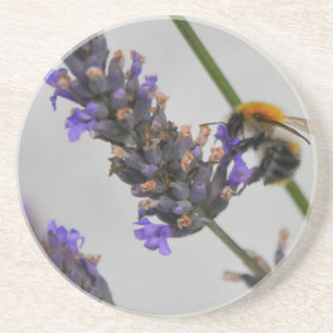 Natur Wunderbare Arbeiter Sandstein Untersetzer