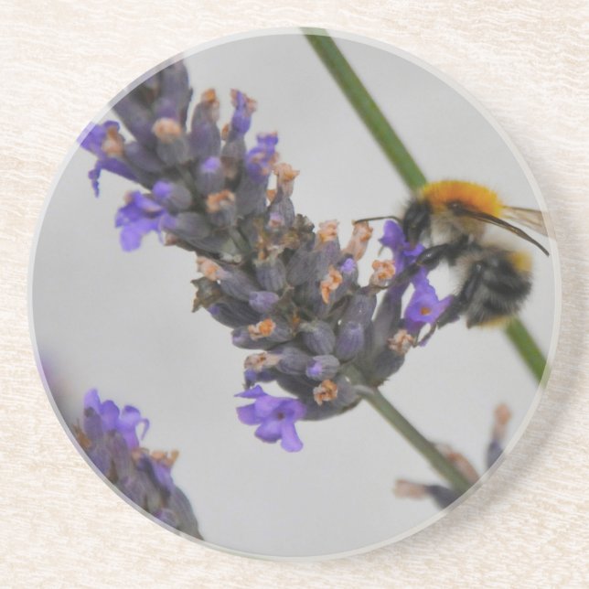 Natur Wunderbare Arbeiter Sandstein Untersetzer (Vorne)