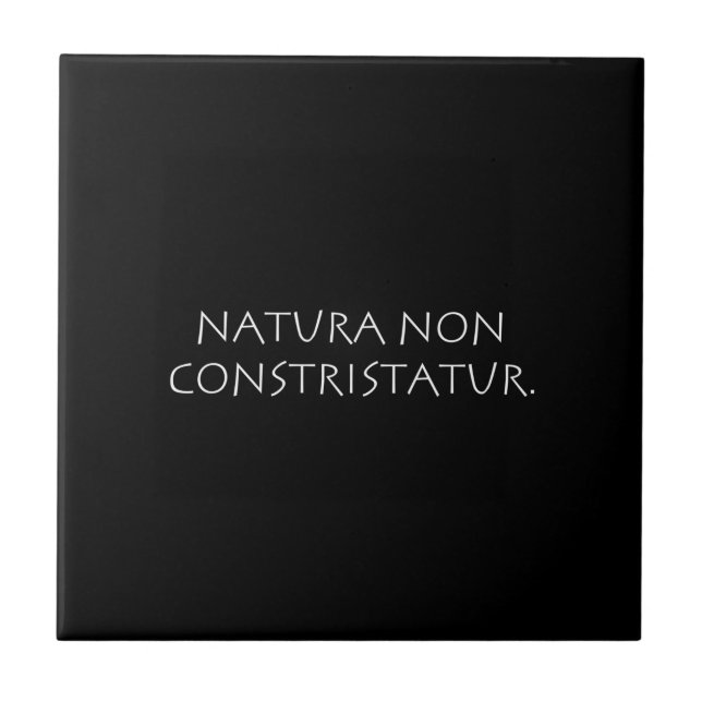 Natura non constristatur fliese (Vorderseite)
