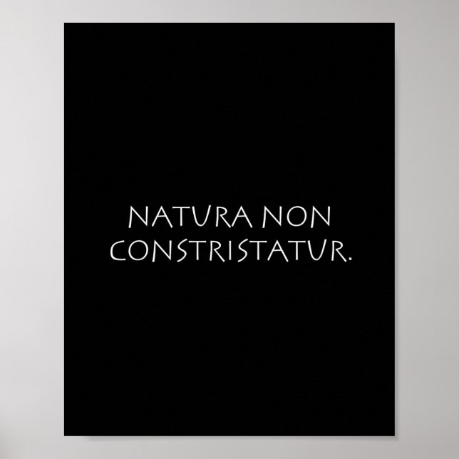 Natura non constristatur poster (Vorne)