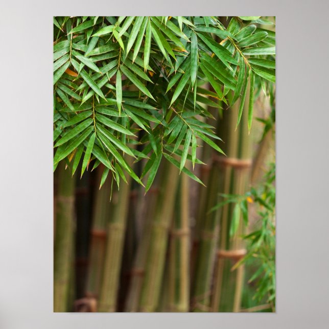 Natural Bamboo Zen Background Customized Template Poster (Vorne)