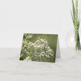 Natural Beauty White Wildblumen Note Card Dankeskarte