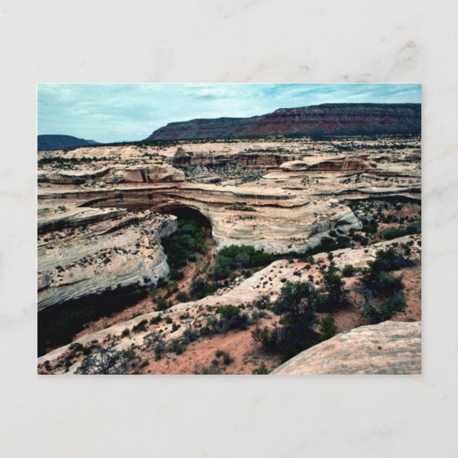 Natural Bridges Nationalpark Postkarte (Vorderseite)