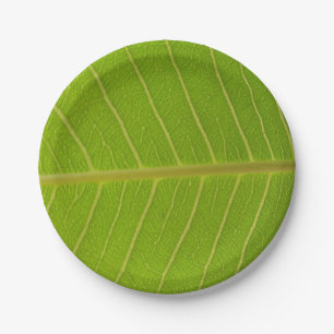 Natural Green Leaf and Light Yellow Line Design Pappteller