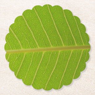 Natural Green Leaf and Light Yellow Line Design Untersetzer