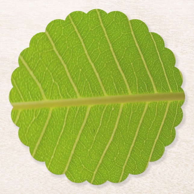 Natural Green Leaf and Light Yellow Line Design Untersetzer (Vorderseite)